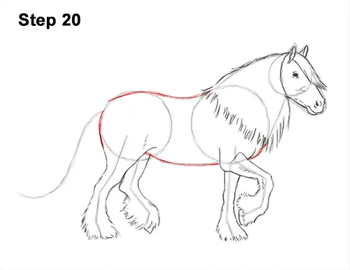 How to Draw a Horse Gypsy Vanner Irish Cob 20