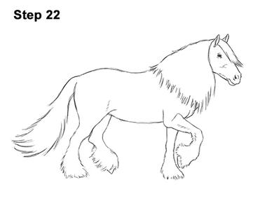 gypsy vanner coloring pages