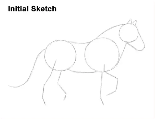 How to Draw a Horse Gypsy Vanner Irish Cob Guide Lines