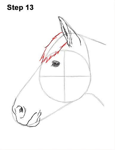 How to Draw a Horse (Head Detail)