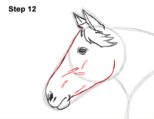 Draw Running Horse 12