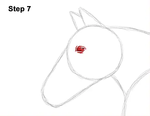 Draw Running Horse 7