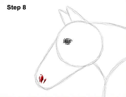 How To Draw A Horse Running Step By Step Easy