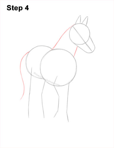 How to Draw a Horse Three Quarter Front View Walking 4