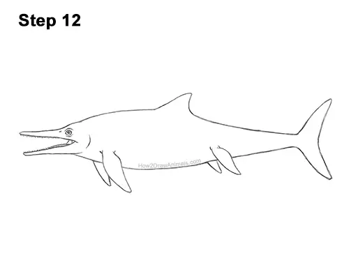 How to Draw an Ichthyosaurus Dinosaur Side View 12