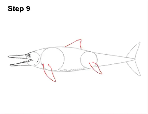 How to Draw an Ichthyosaurus Dinosaur Side View 9