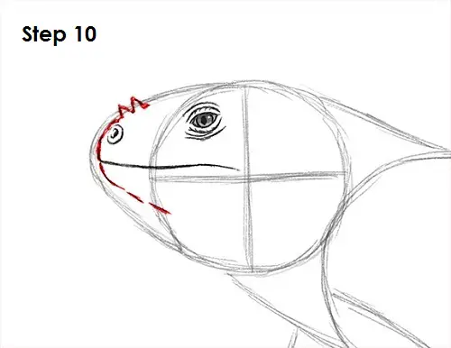 Draw Iguana 10