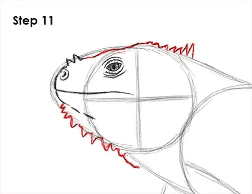 Draw Iguana 11
