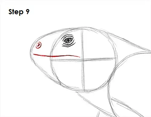 Draw Iguana 9