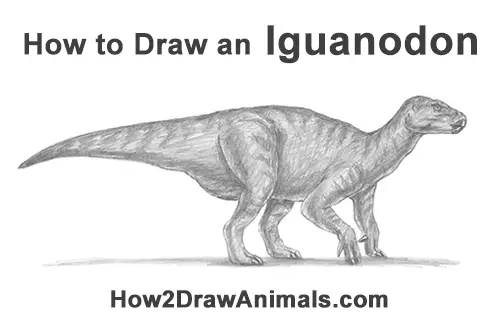 How to Draw an Iguanodon Dinosaur Side