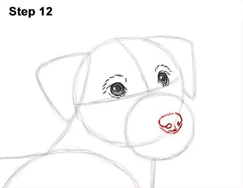 How to Draw a Cute Jack Russell Terrier Puppy Dog 12