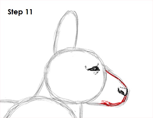 Draw Kangaroo 11