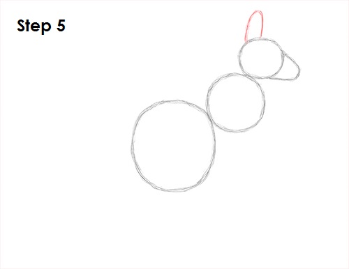 Draw Kangaroo 5