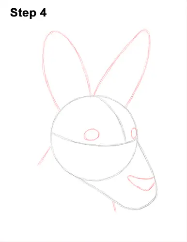 How to Draw a Red Kangaroo Head Portrait Face 4