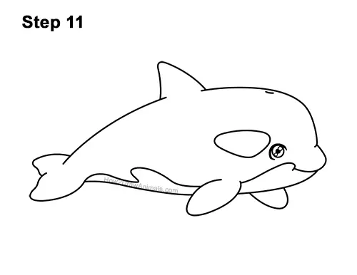 How to Draw a Cute Cartoon Killer Whale Orca Chibi Kawaii 11