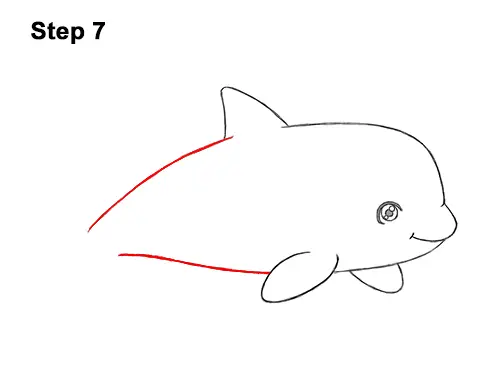 How to Draw a Cute Cartoon Killer Whale Orca Chibi Kawaii 7
