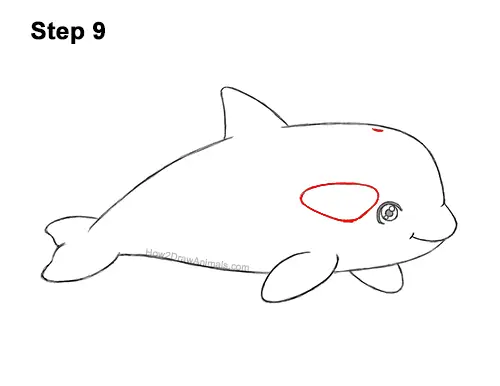 How to Draw a Cute Cartoon Killer Whale Orca Chibi Kawaii 9