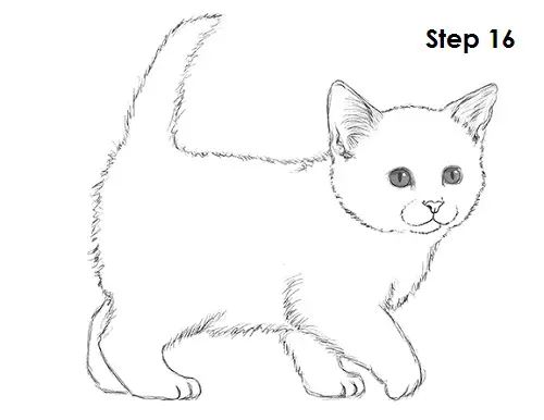 easy kitty cat drawing