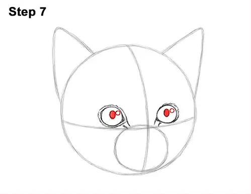How to Draw Cute Cat Kitten Head Face Portrait 7