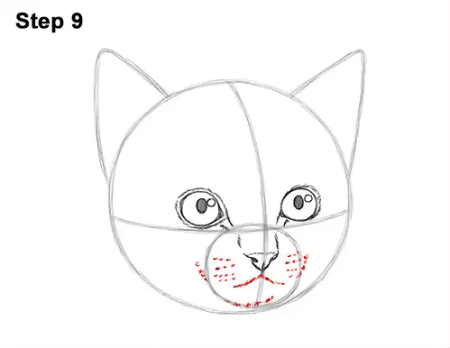 How to Draw Cute Cat Kitten Head Face Portrait 9