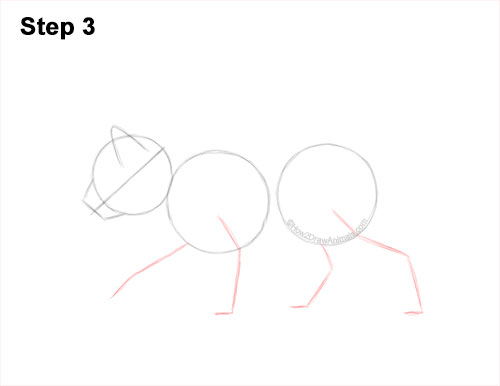 How to Draw a Tabby Kitten 3