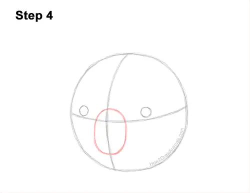 How to Draw a Koala Head Face Portrait 4