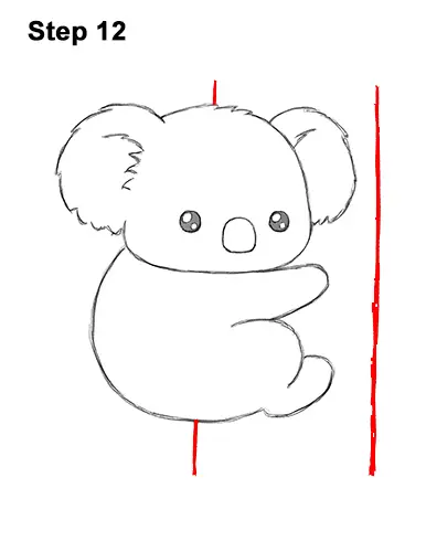 How to Draw Cute Cartoon Koala Bear 12