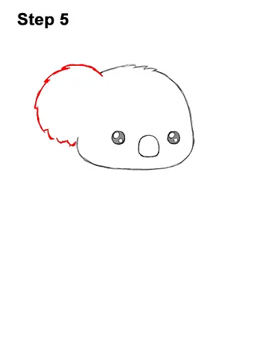 How to Draw Cute Cartoon Koala Bear 5