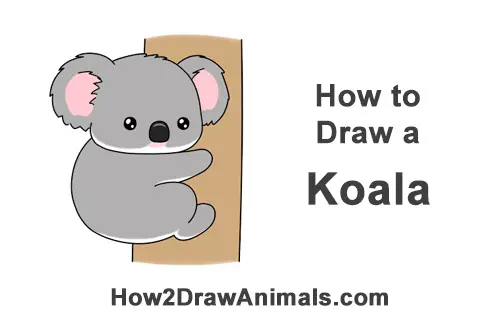 How To Draw A Koala Cartoon Video Step By Step Pictures