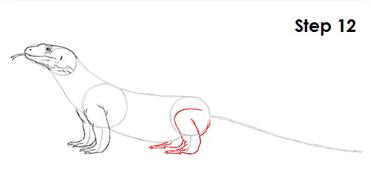 How to Draw a Komodo Dragon