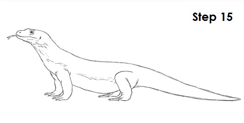 Draw Komodo Dragon 15