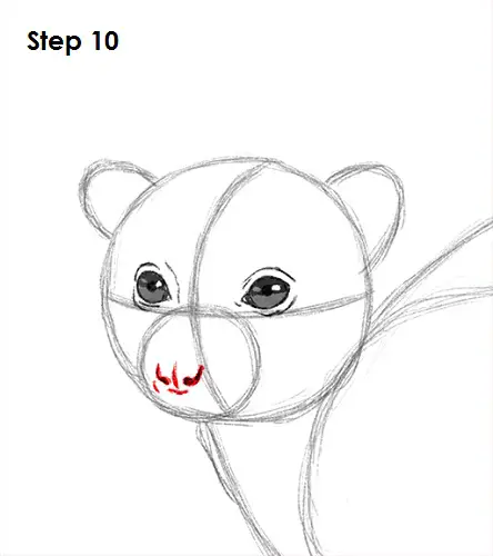 Draw Lemur 10