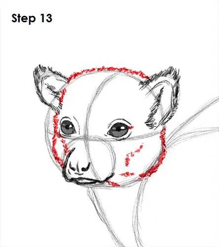 Draw Lemur 13