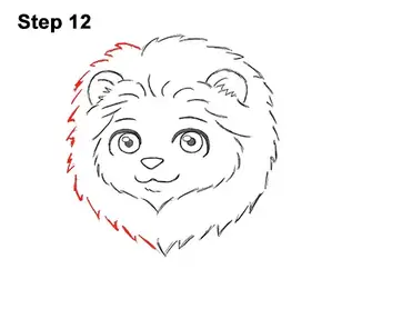 How to Draw a Lion (Cartoon)