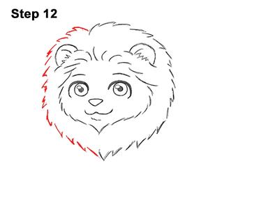 How to Draw a Lion (Cartoon) How to Draw a Lion (Cartoon)