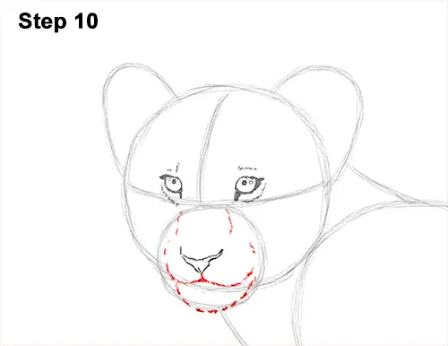 Draw Lion Cub 10