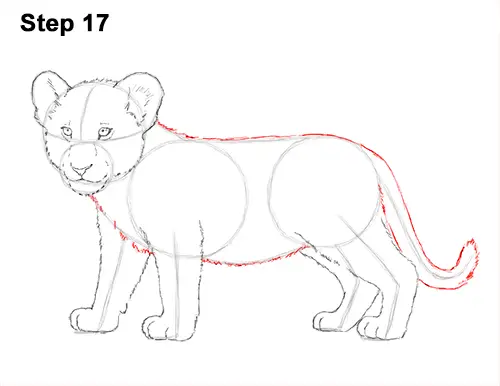 How to Draw a Lion Cub