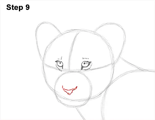 Draw Lion Cub 9