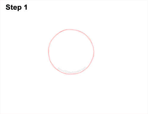 How to Draw a Lion Mane Head Detail Profile Portrait 1
