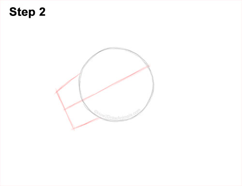 How to Draw a Lion Mane Head Detail Profile Portrait 2