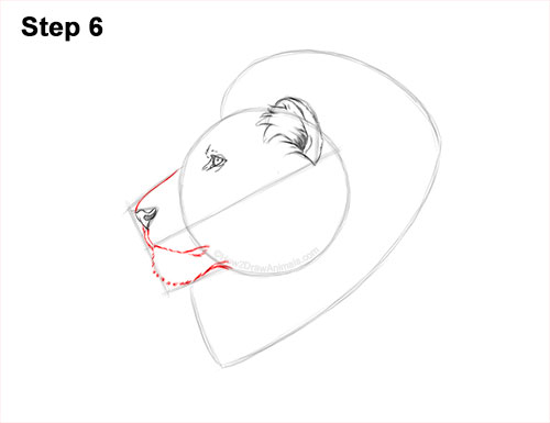 How to Draw a Lion Mane Head Detail Profile Portrait 6