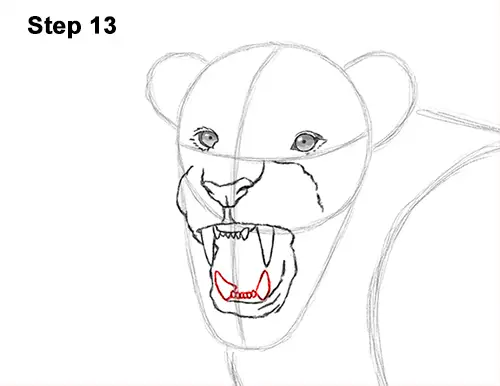 Draw Roaring Lion 13