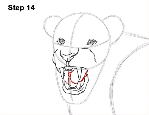 Draw Roaring Lion 14