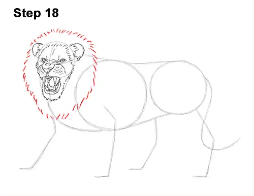 Draw Roaring Lion 18