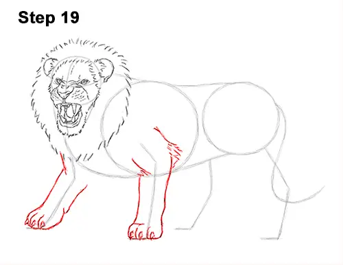 Draw Roaring Lion 19