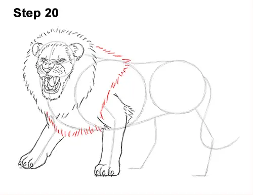 Draw Roaring Lion 20