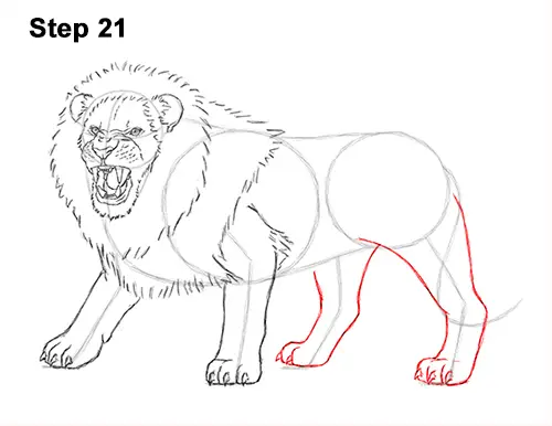 Draw Roaring Lion 21