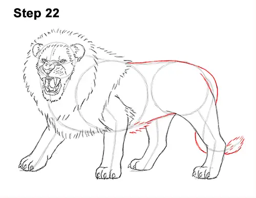 Draw Roaring Lion 22
