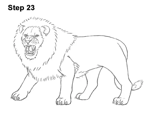 Draw Roaring Lion 23