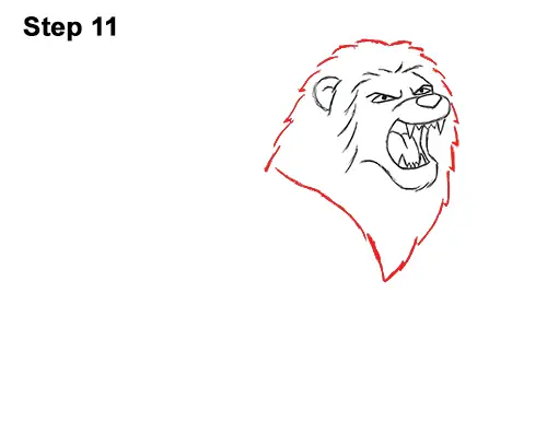 How to Draw Tough Cool Angry Cartoon Lion Roaring 11